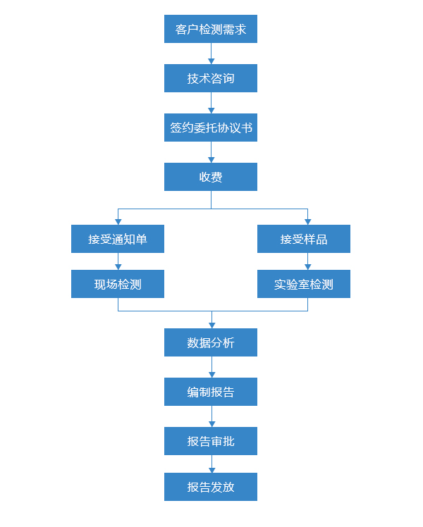防雷檢測服務(wù)流程.jpg
